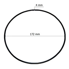 Oring coperchio per valvola Praher da 2” Pool’s