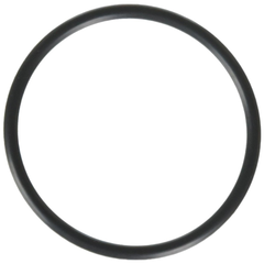 Oring bocchettone per pompa Powerflo